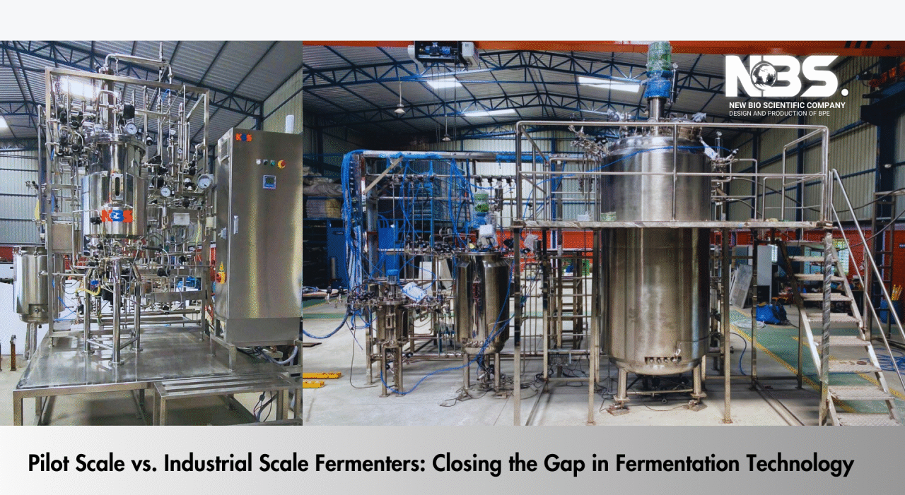 Pilot fermenter