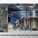 Pilot fermenter