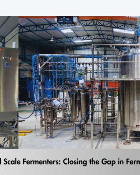 Pilot fermenter